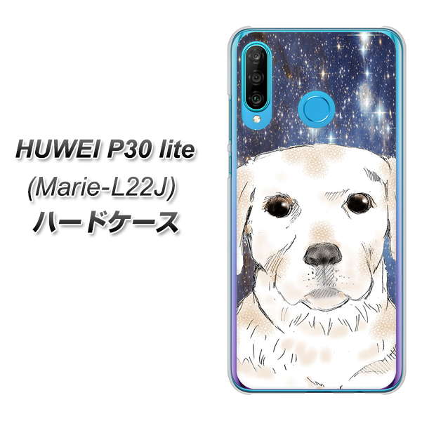 simフリー HUAWEI（ファーウェイ） P30 lite Marie-L22J 高画質仕上げ 背面印刷 ハードケース【YD820 ラブラドールレトリバー01】