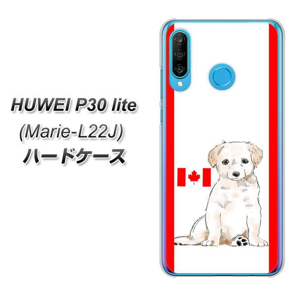 simフリー HUAWEI（ファーウェイ） P30 lite Marie-L22J 高画質仕上げ 背面印刷 ハードケース【YD824 ラブラドールレトリバー05】