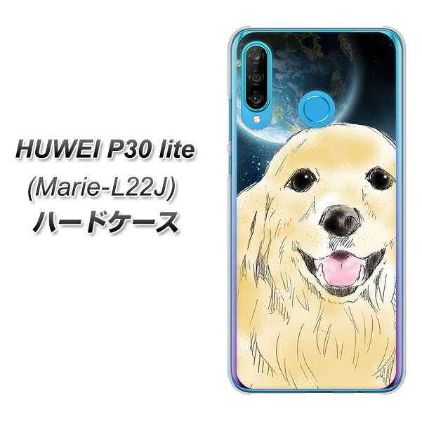 simフリー HUAWEI（ファーウェイ） P30 lite Marie-L22J 高画質仕上げ 背面印刷 ハードケース【YD826 ゴールデンレトリバー02】