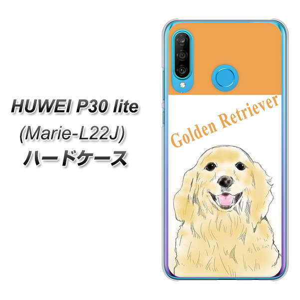 simフリー HUAWEI（ファーウェイ） P30 lite Marie-L22J 高画質仕上げ 背面印刷 ハードケース【YD827 ゴールデンレトリバー03】