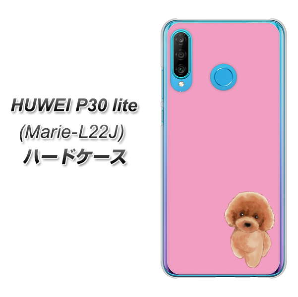 simフリー HUAWEI（ファーウェイ） P30 lite Marie-L22J 高画質仕上げ 背面印刷 ハードケース【YJ049 トイプードルレッド（ピンク）】