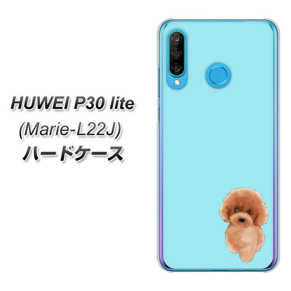 simフリー HUAWEI（ファーウェイ） P30 lite Marie-L22J 高画質仕上げ 背面印刷 ハードケース【YJ050 トイプードルレッド（ブルー）】