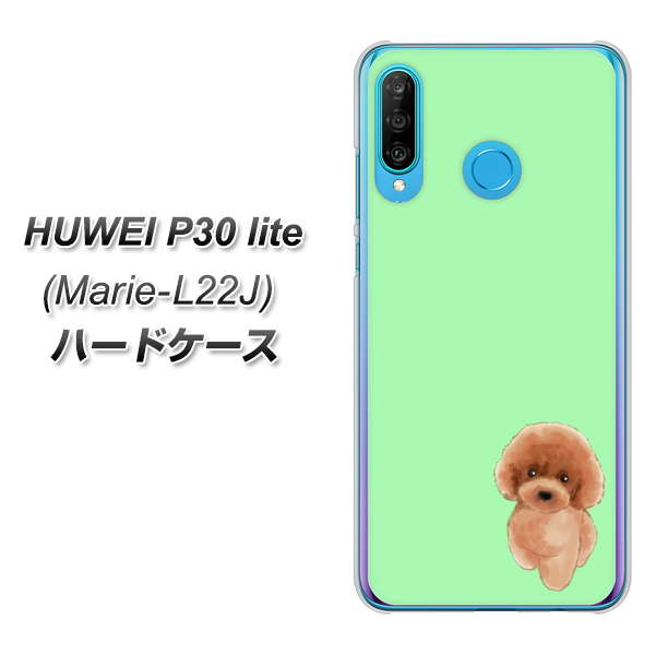 simフリー HUAWEI（ファーウェイ） P30 lite Marie-L22J 高画質仕上げ 背面印刷 ハードケース【YJ052 トイプードルレッド（ グリーン）】