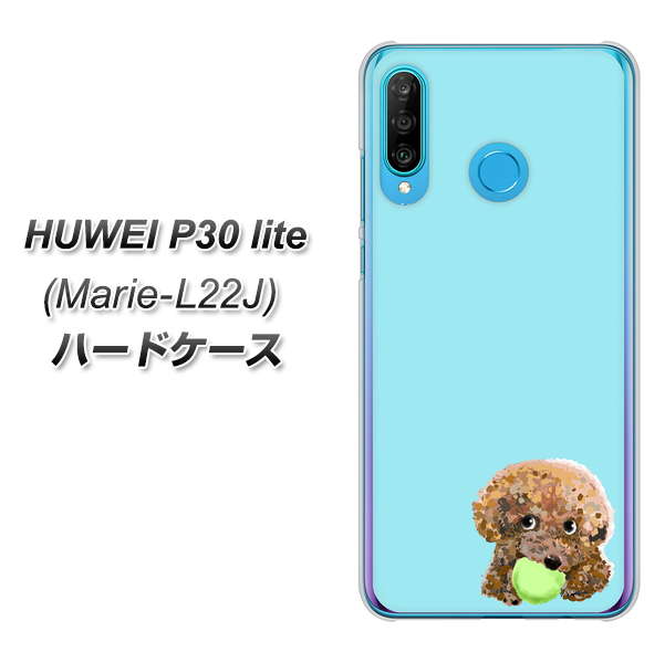 simフリー HUAWEI（ファーウェイ） P30 lite Marie-L22J 高画質仕上げ 背面印刷 ハードケース【YJ054 トイプードル＆ボール（ブルー）】