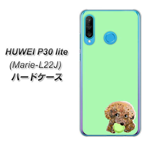 simフリー HUAWEI（ファーウェイ） P30 lite Marie-L22J 高画質仕上げ 背面印刷 ハードケース【YJ055 トイプードル＆ボール（グリーン）】