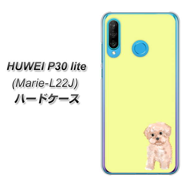 simフリー HUAWEI（ファーウェイ） P30 lite Marie-L22J 高画質仕上げ 背面印刷 ハードケース【YJ064 トイプードルアプリコット（イエロー）】