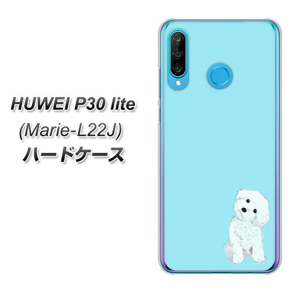 simフリー HUAWEI（ファーウェイ） P30 lite Marie-L22J 高画質仕上げ 背面印刷 ハードケース【YJ070 トイプードルホワイト（ブルー）】