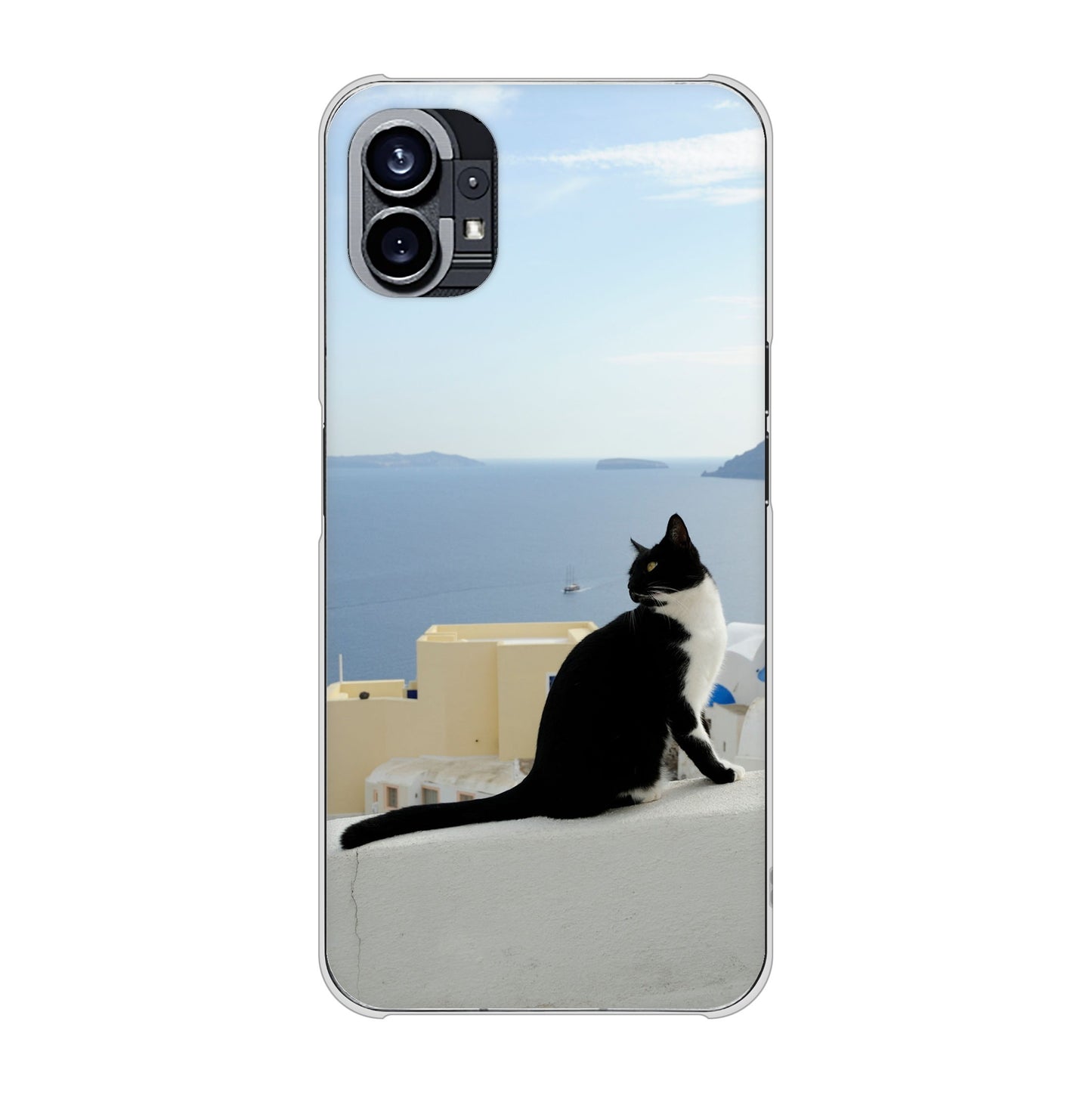 Nothing Phone(1) 高画質仕上げ 背面印刷 ハードケース【VA805 ネコと地中海】