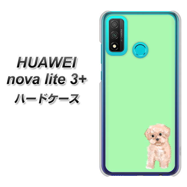 HUAWEI（ファーウェイ） nova lite 3プラス POT-LX2J 高画質仕上げ 背面印刷 ハードケース【YJ063 トイプードルアプリコット（グリーン）】