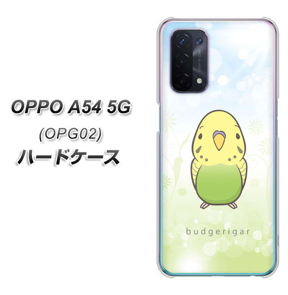 au オッポ A54 5G OPG02 高画質仕上げ 背面印刷 ハードケース【SC838 セキセイインコ グリーン】