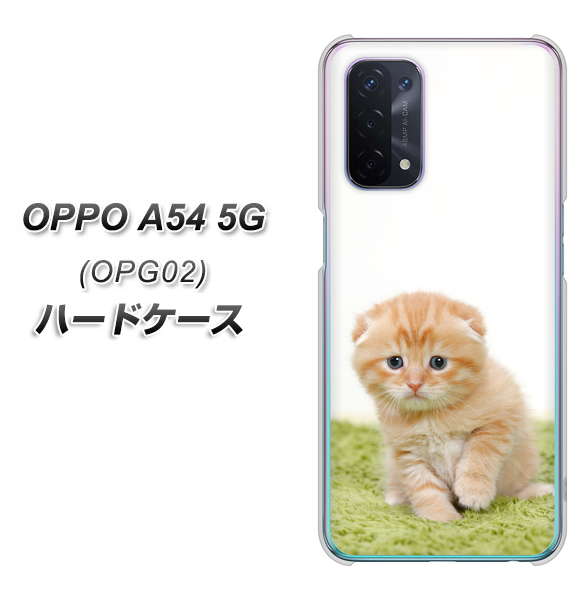 au オッポ A54 5G OPG02 高画質仕上げ 背面印刷 ハードケース【VA802 ネコこっそり】