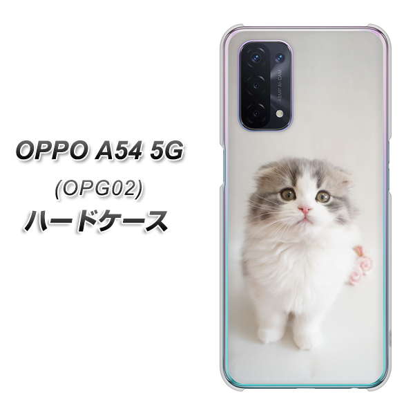 au オッポ A54 5G OPG02 高画質仕上げ 背面印刷 ハードケース【VA803 まっていますネコ】