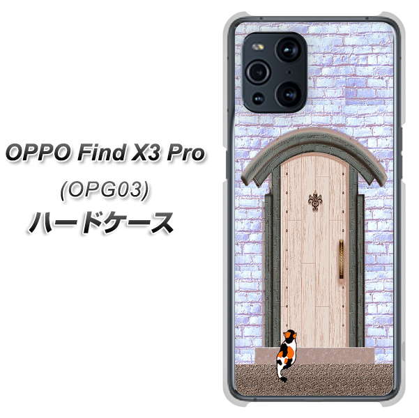 au オッポ Find X3 Pro OPG03 高画質仕上げ 背面印刷 ハードケース【YA952 石ドア02 素材クリア】