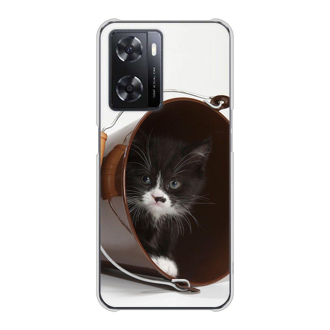 OPPO A77 高画質仕上げ 背面印刷 ハードケース【VA800 ネコとバケツ】
