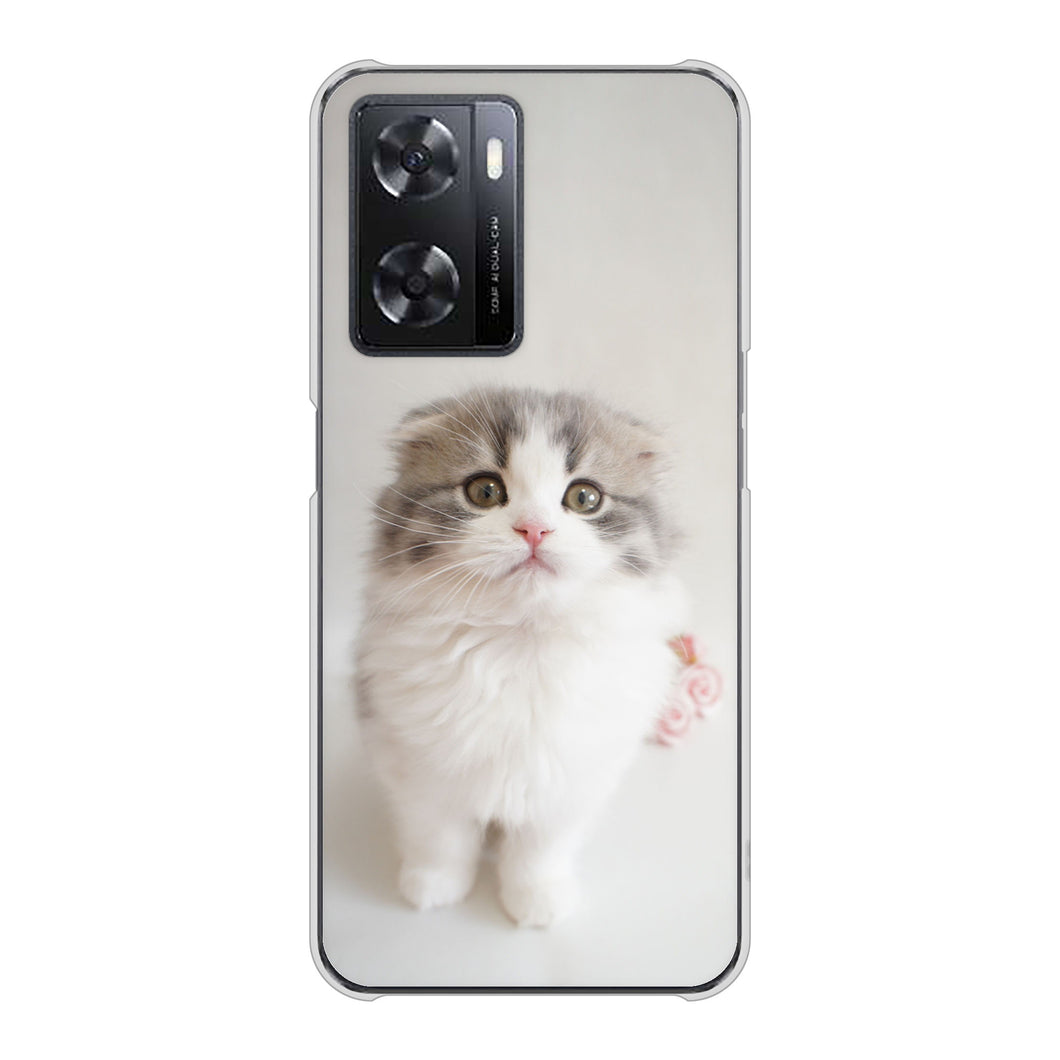OPPO A77 高画質仕上げ 背面印刷 ハードケース【VA803 まっていますネコ】