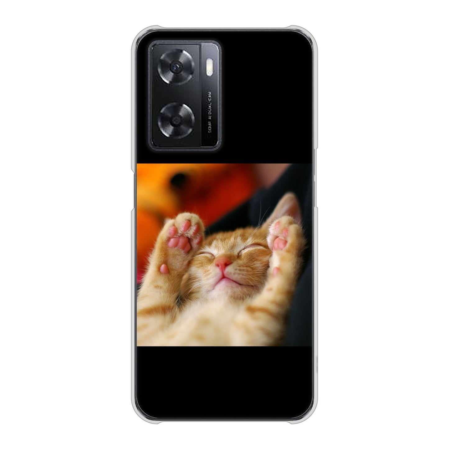 OPPO A77 高画質仕上げ 背面印刷 ハードケース【VA804 爆睡するネコ】