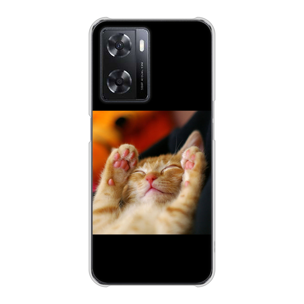 OPPO A77 高画質仕上げ 背面印刷 ハードケース【VA804 爆睡するネコ】