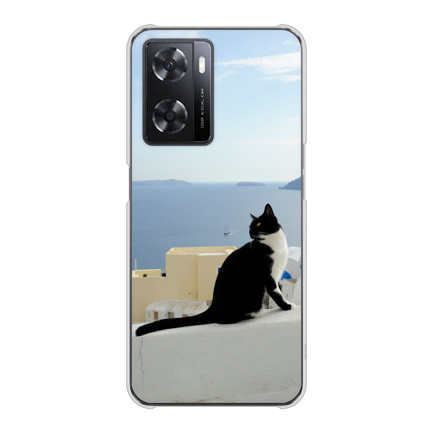 OPPO A77 高画質仕上げ 背面印刷 ハードケース【VA805 ネコと地中海】