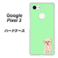 Google Pixel 3 高画質仕上げ 背面印刷 ハードケース【YJ063 トイプードルアプリコット（グリーン）】