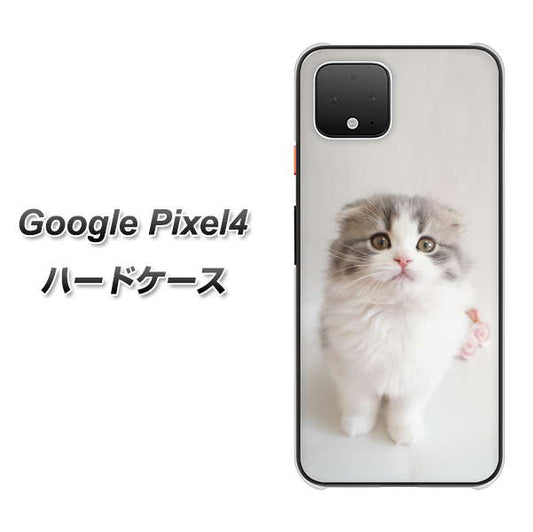 Google Pixel 4 高画質仕上げ 背面印刷 ハードケース【VA803 まっていますネコ】