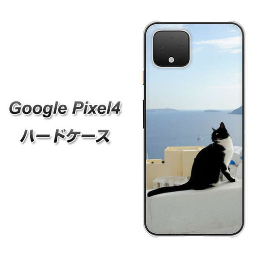 Google Pixel 4 高画質仕上げ 背面印刷 ハードケース【VA805 ネコと地中海】