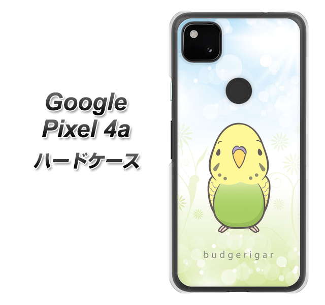 Google Pixel 4a 高画質仕上げ 背面印刷 ハードケース【SC838 セキセイインコ グリーン】