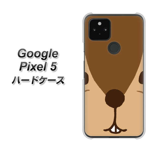 Google Pixel 5 高画質仕上げ 背面印刷 ハードケース【349 りす】