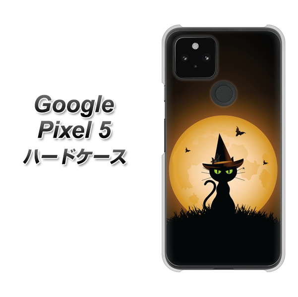 Google Pixel 5 高画質仕上げ 背面印刷 ハードケース【440 猫の魔法使い】
