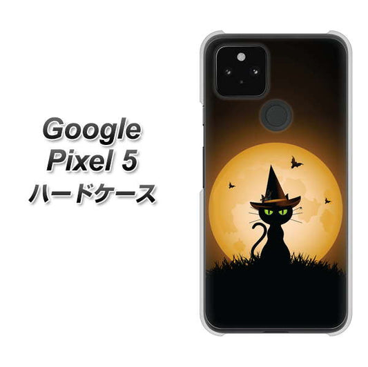 Google Pixel 5 高画質仕上げ 背面印刷 ハードケース【440 猫の魔法使い】