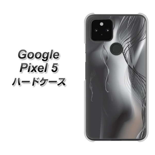 Google Pixel 5 高画質仕上げ 背面印刷 ハードケース【566 ボディウォール】