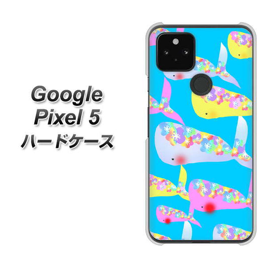 Google Pixel 5 高画質仕上げ 背面印刷 ハードケース【1045 くじらの仲間】