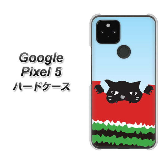Google Pixel 5 高画質仕上げ 背面印刷 ハードケース【IA815 すいかをかじるネコ(大)】