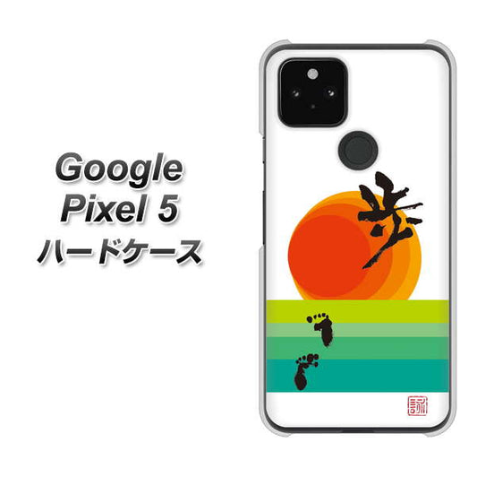 Google Pixel 5 高画質仕上げ 背面印刷 ハードケース【OE809 歩ム】