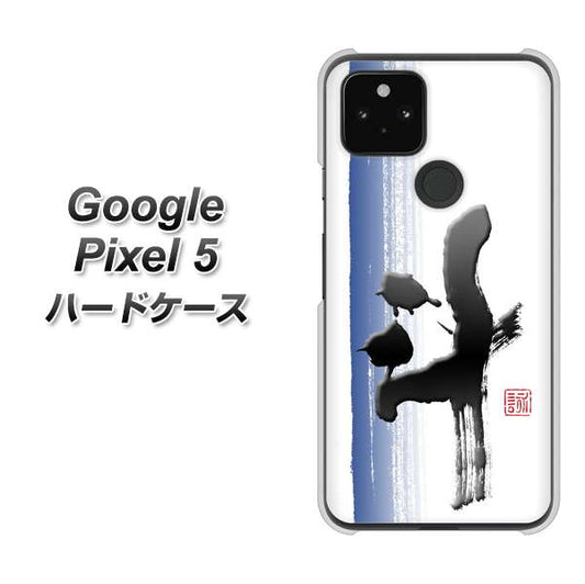 Google Pixel 5 高画質仕上げ 背面印刷 ハードケース【OE829 斗】