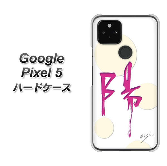Google Pixel 5 高画質仕上げ 背面印刷 ハードケース【OE833 陽】