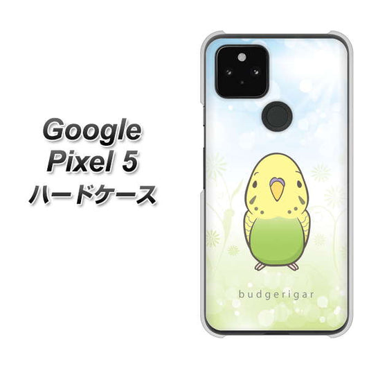 Google Pixel 5 高画質仕上げ 背面印刷 ハードケース【SC838 セキセイインコ グリーン】