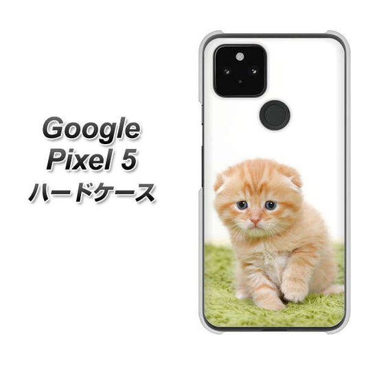 Google Pixel 5 高画質仕上げ 背面印刷 ハードケース【VA802 ネコこっそり】