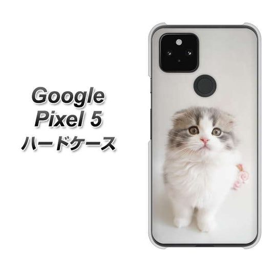 Google Pixel 5 高画質仕上げ 背面印刷 ハードケース【VA803 まっていますネコ】