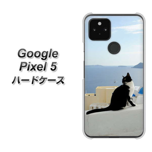 Google Pixel 5 高画質仕上げ 背面印刷 ハードケース【VA805 ネコと地中海】
