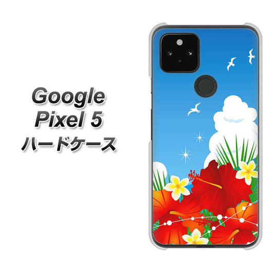 Google Pixel 5 高画質仕上げ 背面印刷 ハードケース【VA821 ハイビスカスと青空】