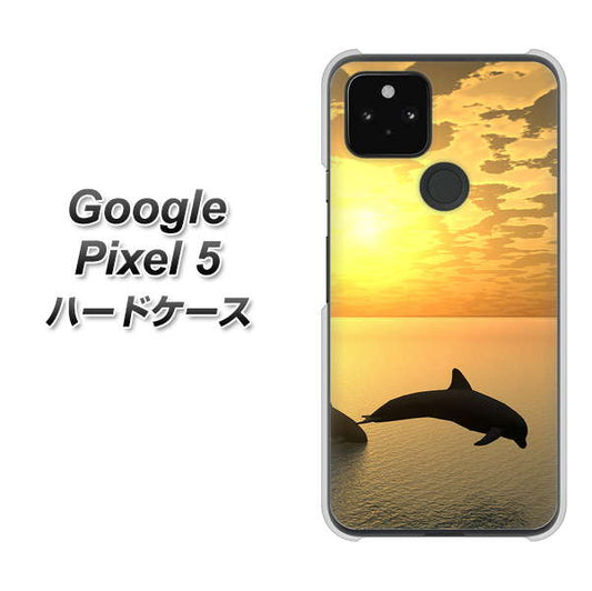 Google Pixel 5 高画質仕上げ 背面印刷 ハードケース【VA845 夕暮れのドルフィン】