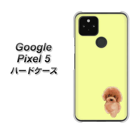 Google Pixel 5 高画質仕上げ 背面印刷 ハードケース【YJ051 トイプードルレッド（イエロー）】
