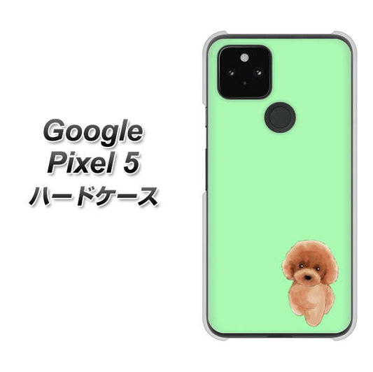 Google Pixel 5 高画質仕上げ 背面印刷 ハードケース【YJ052 トイプードルレッド（ グリーン）】
