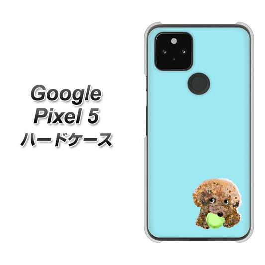 Google Pixel 5 高画質仕上げ 背面印刷 ハードケース【YJ054 トイプードル＆ボール（ブルー）】