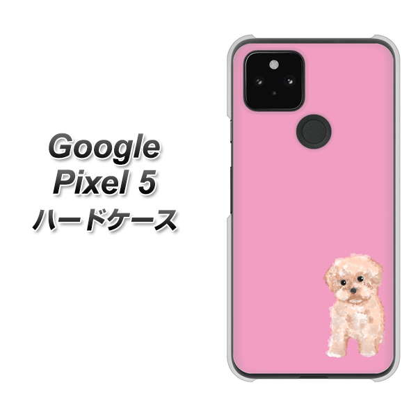 Google Pixel 5 高画質仕上げ 背面印刷 ハードケース【YJ061 トイプードルアプリコット（ピンク）】