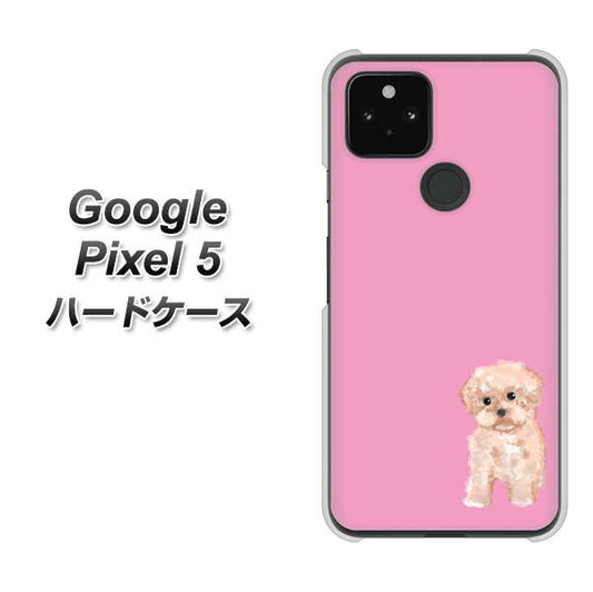 Google Pixel 5 高画質仕上げ 背面印刷 ハードケース【YJ061 トイプードルアプリコット（ピンク）】