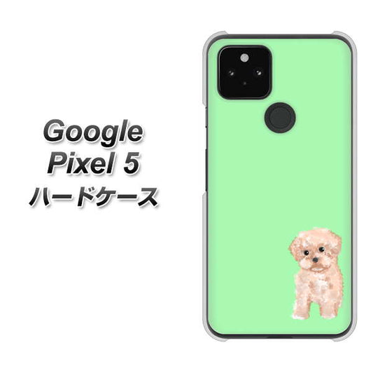 Google Pixel 5 高画質仕上げ 背面印刷 ハードケース【YJ063 トイプードルアプリコット（グリーン）】