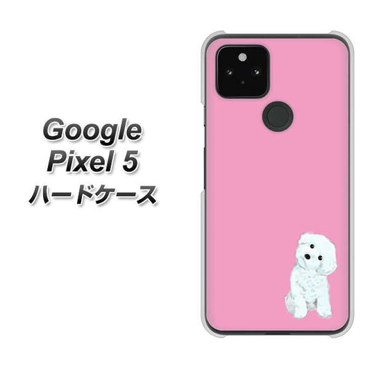 Google Pixel 5 高画質仕上げ 背面印刷 ハードケース【YJ069 トイプードルホワイト（ピンク）】