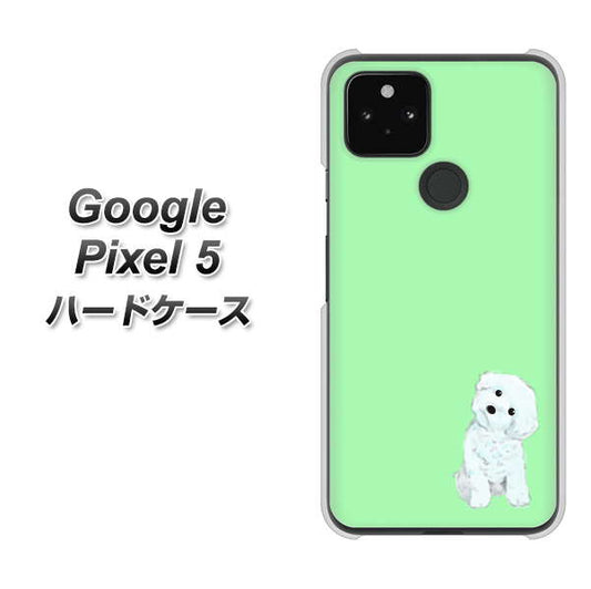 Google Pixel 5 高画質仕上げ 背面印刷 ハードケース【YJ071 トイプードルホワイト（グリーン）】