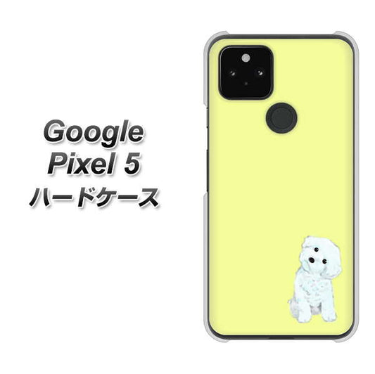 Google Pixel 5 高画質仕上げ 背面印刷 ハードケース【YJ072 トイプードルホワイト（イエロー）】